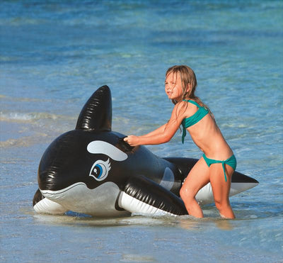 Intex Opblaasbare Walvis Groot Model