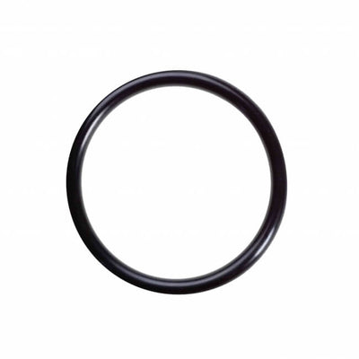 Comfortpool O-Ring Voor Comfortpool Solar Panel