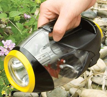 oplaadbare kampeer verlichting van Intex